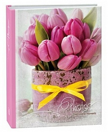 Фотоальбом Image Art IA-200PP 317