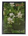 Фоторамка 50x50 DLK BD Plexi Blue