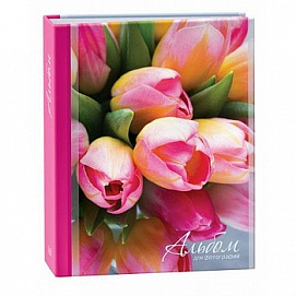 Фотоальбом Image Art IA-100PP 251