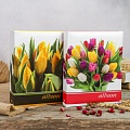 Фотоальбом Image Art IA-200PP 001